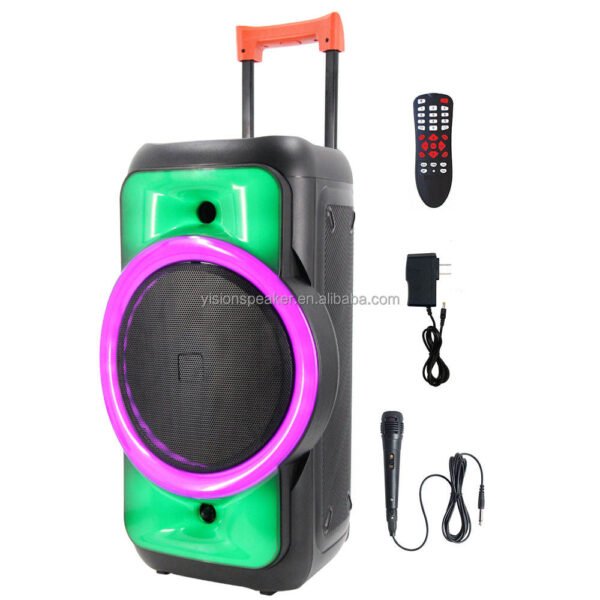 Parlante 12 Pulgadas ZjZ 1201, 1000w, Portátil, Led, Bluetooth, Micrófono Incluido - Image 6
